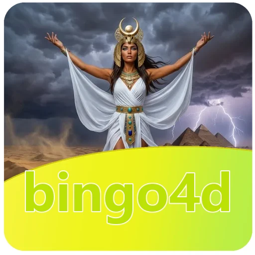 Tim bingo4d
